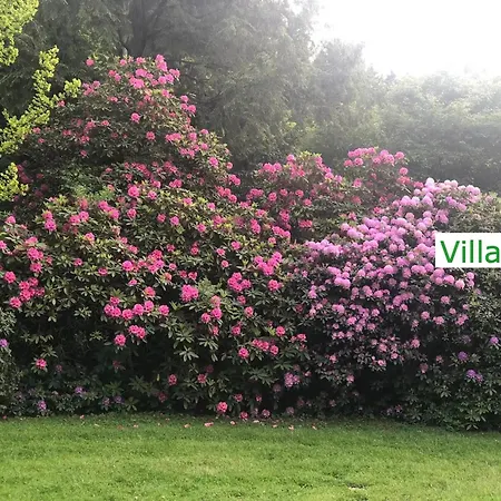 Emg Osnabrueck Bielefeld In Preussisch-oldendorf, Alleinlage, Eigene Wald Und See, Jacuzzi, Sauna Fuer Familien Gruppen Bis 20 Personen Villa Preußisch Oldendorf