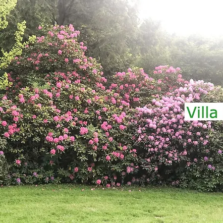 Villa Emg In Alleinlage Mit Privatsee Jacuzzi Und Sauna Fuer Bis Zu 22 Personen Bei Osnabrueck Preußisch Oldendorf