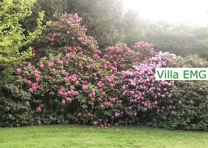 Villa Emg In Alleinlage Mit Privatsee Jacuzzi Und Sauna Fuer Bis Zu 22 Personen Bei Osnabrueck Preussisch Oldendorf