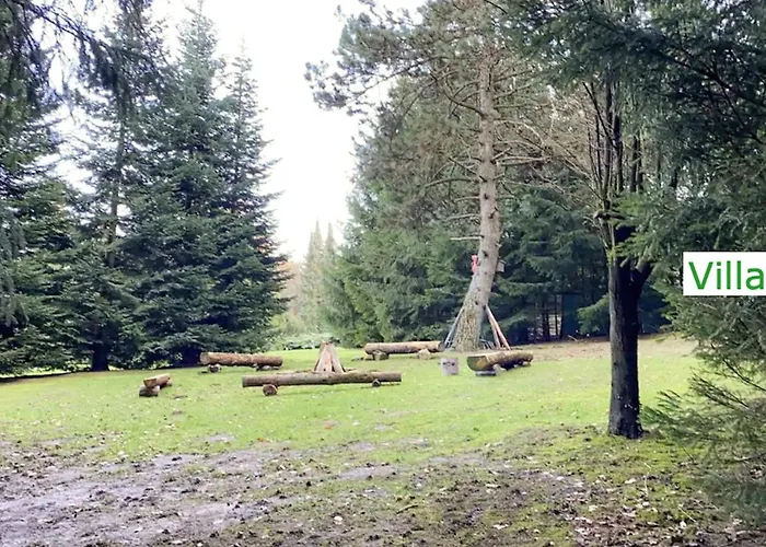 Emg In Alleinlage Mit Privatsee Jacuzzi Und Sauna Fuer Bis Zu 22 Personen Bei Osnabrueck *